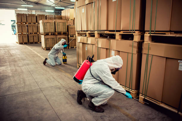 Best Mosquito Control Services  in Oakwood Hls, IL