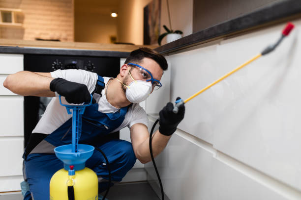 Best Emergency Pest Control  in Oakwood Hls, IL