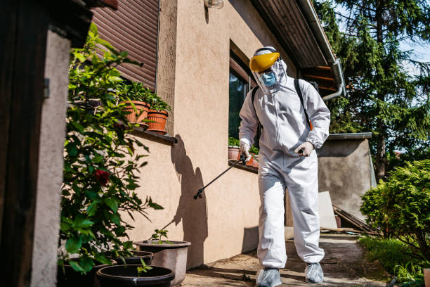 Flea Control Services in Oakwood Hills, IL