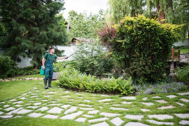 Best Exterminator Services  in Oakwood Hls, IL
