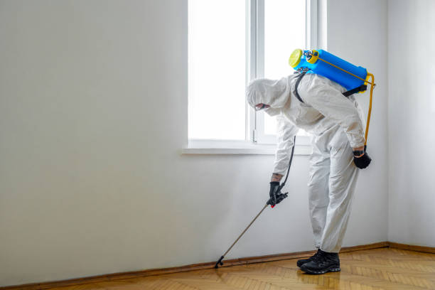 Best Pest Control Near Me  in Oakwood Hls, IL