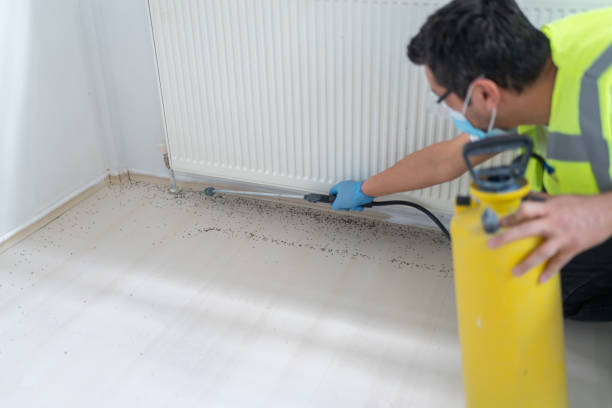 Best Best Pest Control Companies  in Oakwood Hls, IL